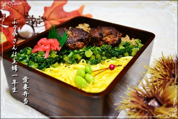 ふうかさんは主婦一年生