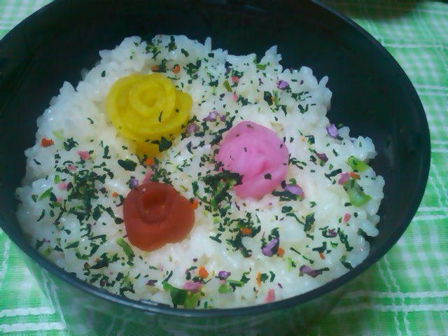 ﾌｳｶさん家のお弁当-SN3L0128.jpg