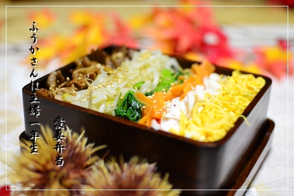 ふうかさんは主婦一年生