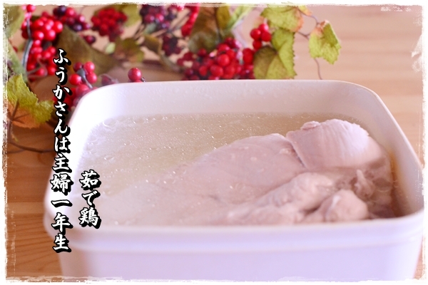 ふうかさんは主婦一年生