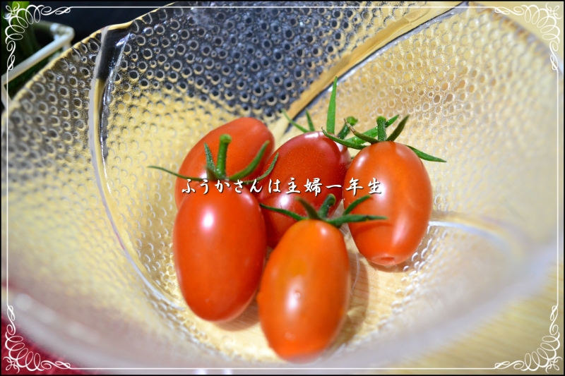 ふうかさんは主婦一年生