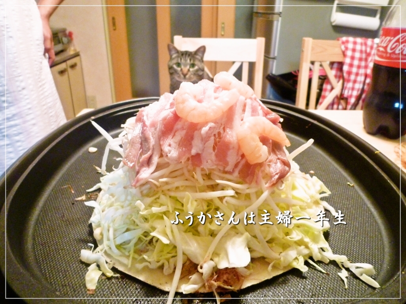 ふうかさんは主婦一年生