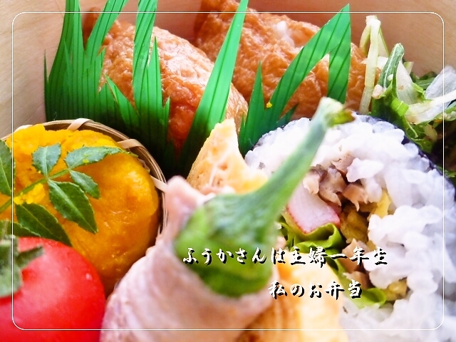 ふうかさんは主婦一年生-アップわたし.jpg