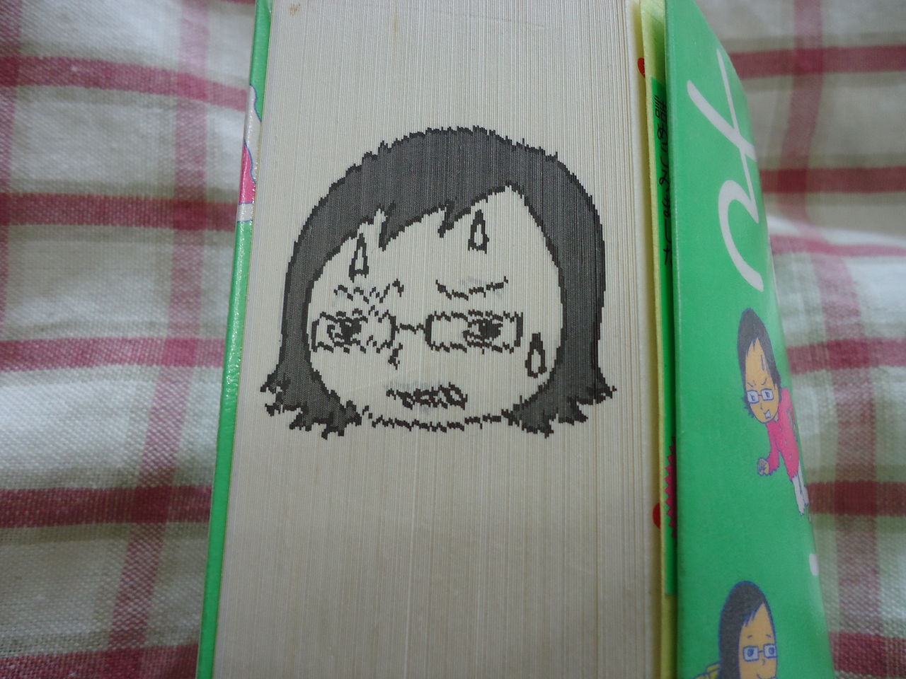 大野更紗さんの さらさらさん に苦悩と安堵 アンビバレントなデザイン装飾が みーしゃ ぼるけーの