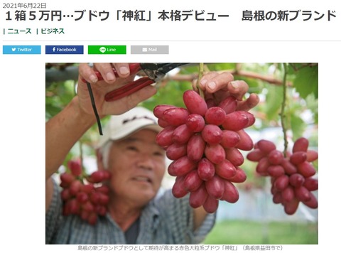神紅 ニュース