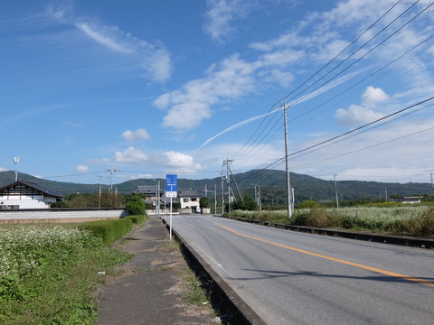 DSCF7733