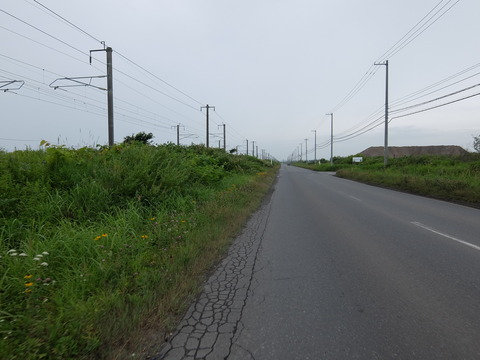DSCF3777