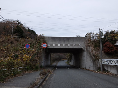 DSCF5911
