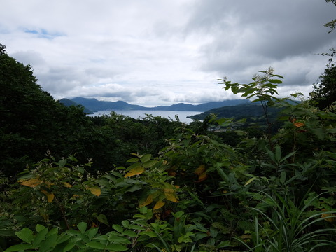 DSCF4884