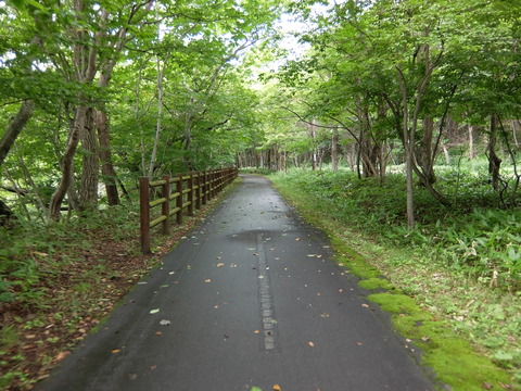 DSCF6653