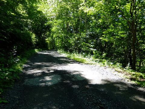 DSCF3163