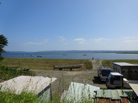 DSC00413