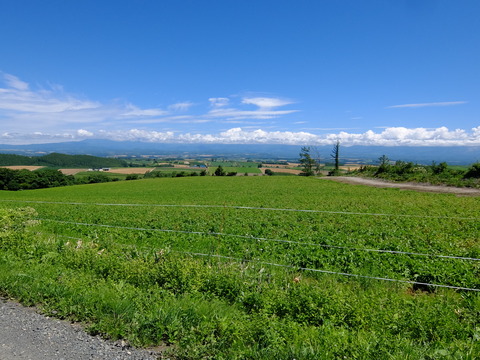 DSCF3184
