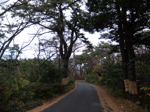 DSCF5918