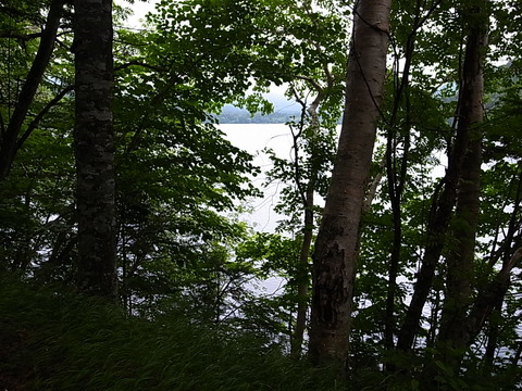 R0012026