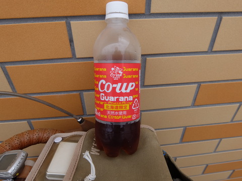 DSCF4131