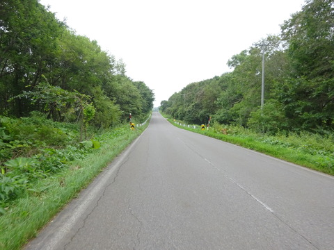 DSC00634