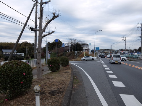 DSCF5813