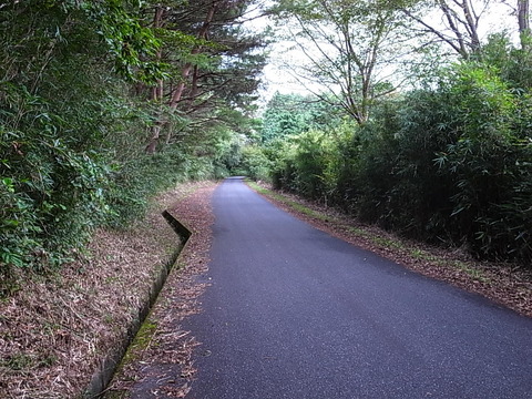 R0011607