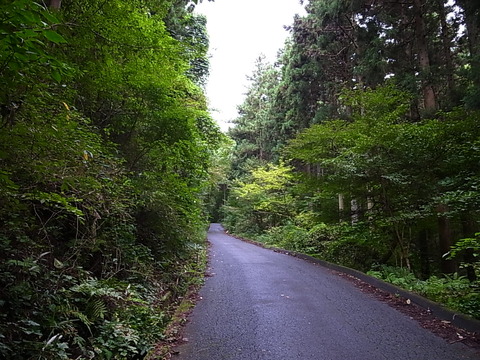 R0011593