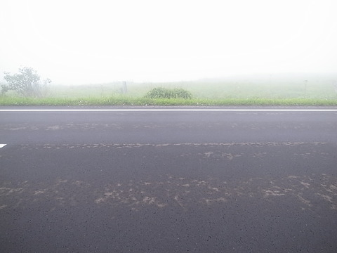 R0011300