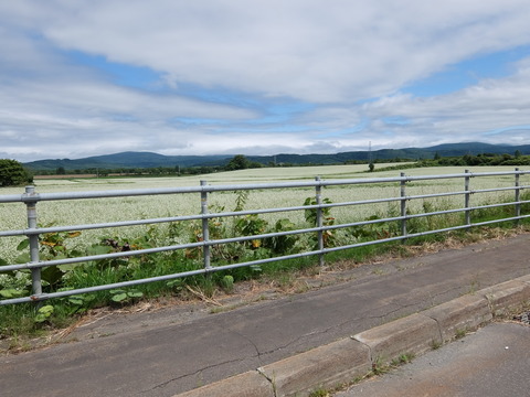 DSCF7273