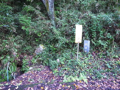 R0011560