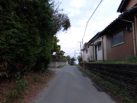 DSCF5893