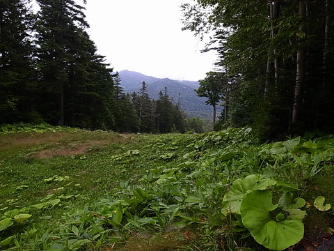 R0012014