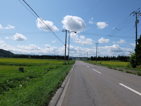 DSCF7517