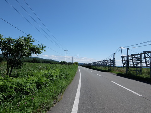 DSCF7187