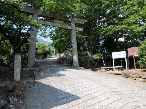 DSCF5667