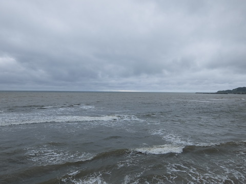 DSCF4029