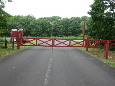DSC00590