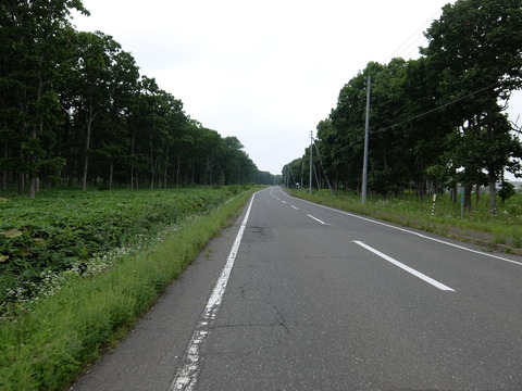 DSCF5124