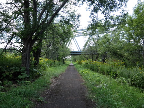 DSCF7525