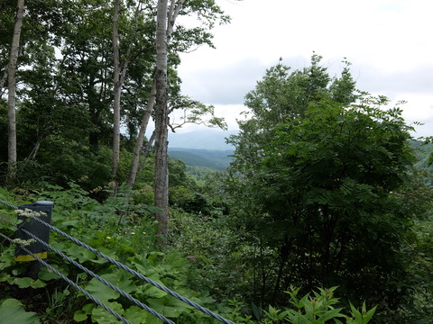 DSCF4403