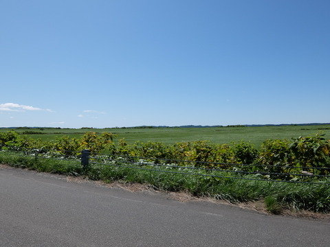 DSCF7186