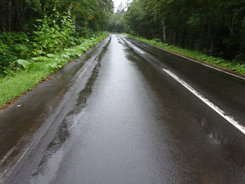 DSC00798