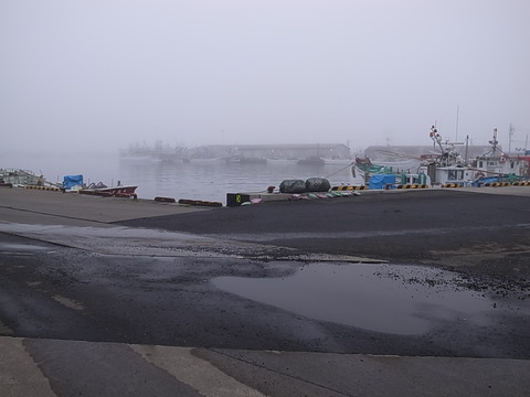 R0011319
