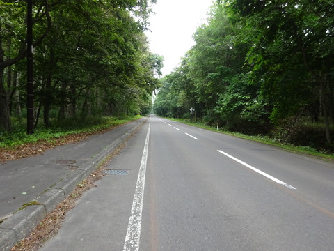 DSC00534