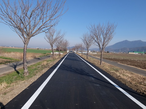 DSCF5975