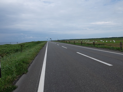 DSCF7067