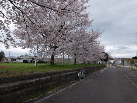 DSCF6152