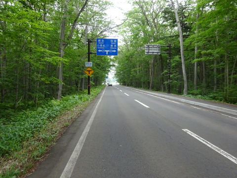 DSC00547