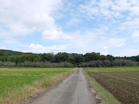 DSCF7741