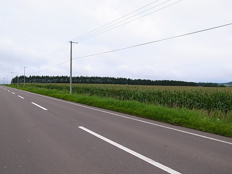 R0012046