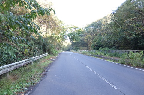 DSCF3545