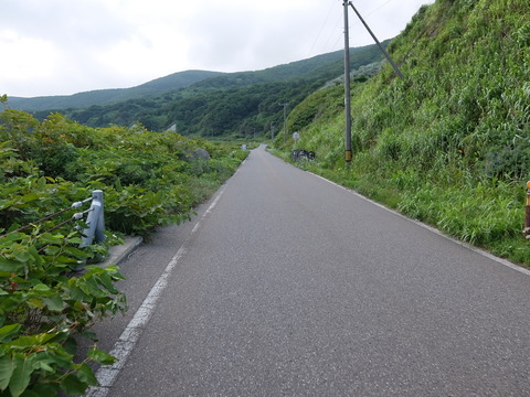 DSCF4215