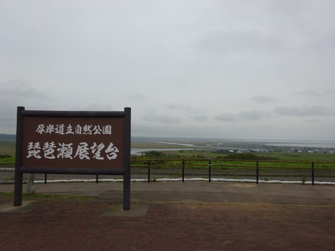 DSC00779